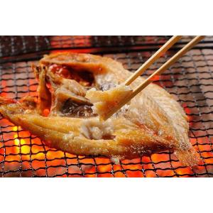 魚 キンキの商品一覧 通販 Yahoo ショッピング