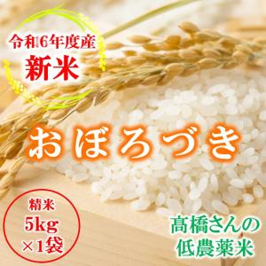 米 お米 5kg 新米 北海道産 おぼろづき 白米 低農薬米 令和5年産 東旭川産 高橋さんのおぼろづき