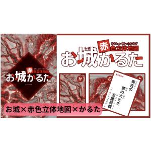 地形が主役！赤色立体地図お城かるた