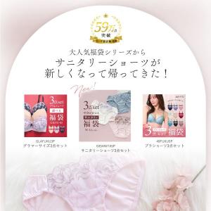 選べる6タイプ サニタリーショーツ福袋 3枚セ...の詳細画像2
