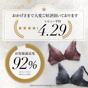 ブラジャー ノンワイヤー 脇高 プランジノンワ...の詳細画像3