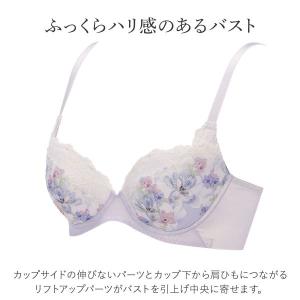 ブラジャー トリンプ TR636 天使のブラ ...の詳細画像2