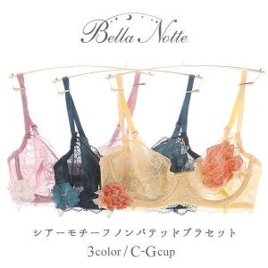 ブラジャー ショーツセット 大きいサイズ セット ノンパテ C D E F G サイズ ブラショーツ コントランテ ベラノッティ シアー メール便(25)