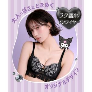 ブラジャー ショーツセット 大きいサイズ ノン...の詳細画像3