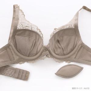 ブラジャー ショーツセット ソニアクラブ SO...の詳細画像4