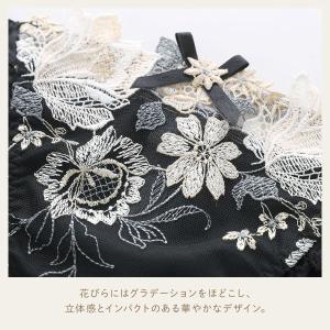 リサマリ レーヌ アデラ ノーマル ショーツ ...の詳細画像3