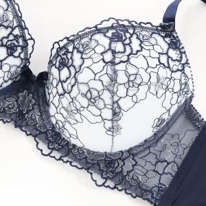 ローズ ラメレース ブラジャー ショーツ セッ...の詳細画像1