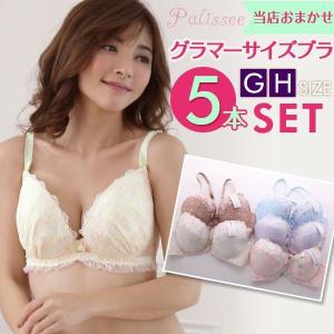 パリーゼ Palissee グラマーサイズ 単品ブラジャー 5本組 お得福袋 GH 大きいサイズ 5本セット [ 大きいサイズ アンダー90まで ]｜shirohato