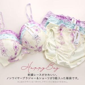 パリーゼ Palissee 福袋 ノンワイヤー...の詳細画像2