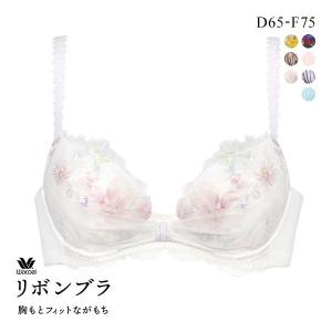 ブラジャー 大きいサイズ グラマー リボンブラ ワコール