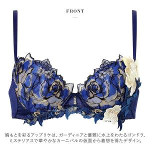 ワコール サルート 36グループ 36G P-...の詳細画像3
