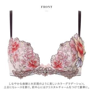 ワコール サルート ブラジャー 23グループ ...の詳細画像4