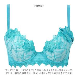 ワコール サルート 37グループ 37G リア...の詳細画像3