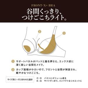 ワコール サルート ブラジャー 43グループ ...の詳細画像5