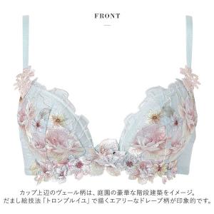 ワコール サルート ブラジャー 43グループ ...の詳細画像3