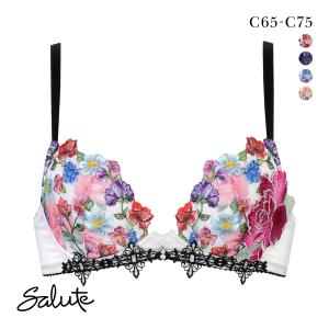 2025年12月】サルート フロントエックス g70のおすすめ人気ランキング