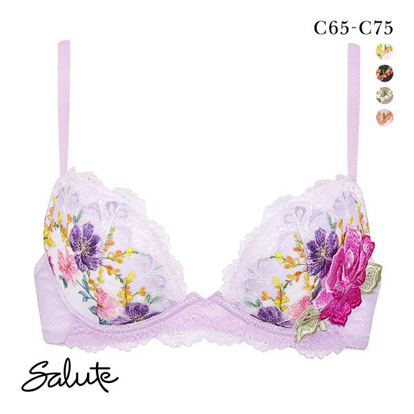 ワコール Wacoal サルート Salute 23AW 93G BTJ793 FRONT-X＋ フ...