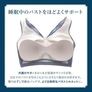 ワコール ナイトアップブラ ドレッシィ ナイト...の詳細画像1