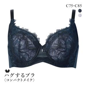 ワコール ハグするブラ コンパクトメイク BXB318 BXB418 フルカップ ブラジャー ABC 大きいサイズ グラマー Wacoal｜shirohato