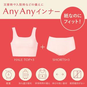 ワコール ウイング ブラジャー ショーツセット...の詳細画像1