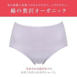 ワコール Wacoal ウイング Wing 綿...の詳細画像1