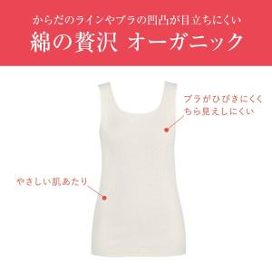 ワコール ウイング 綿の贅沢オーガニック リブ...の詳細画像1
