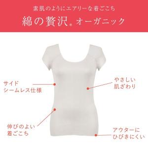 ワコール Wacoal ウイング Wing 綿...の詳細画像1