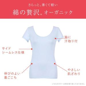 ワコール Wacoal ウイング Wing 綿...の詳細画像1