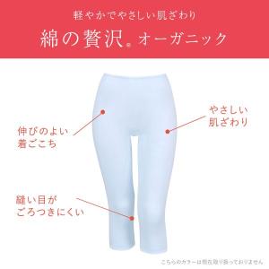 ワコール ウイング インナー 綿の贅沢 オーガ...の詳細画像1