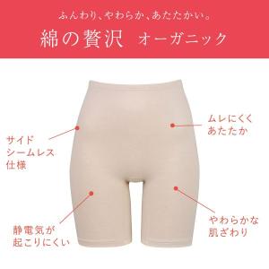 ワコール ウイング インナー 綿の贅沢オーガニ...の詳細画像2