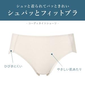 ワコール ウイング ショーツ シュパッとフィッ...の詳細画像3