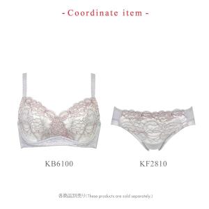 ワコール ウイング KB6100 小さく見せる...の詳細画像5