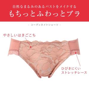 ワコール ウイング KF2868 もちっとふわ...の詳細画像2