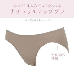 ワコール Wacoal ウイング Wing K...の詳細画像2