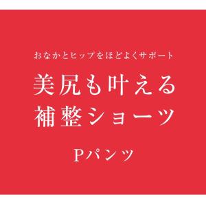 ワコール Wacoal ウイング Wing 美...の詳細画像1