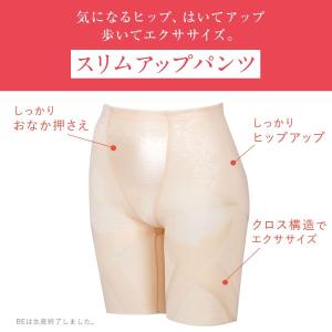 ワコール Wacoal ウイング Wing 気...の詳細画像1