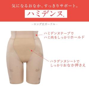 ワコール Wacoal ウイング Wing ハ...の詳細画像1