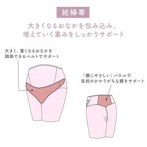 ワコール Wacoal マタニティ MATER...の詳細画像1