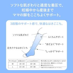 ワコール マタニティ 産前産後兼用 着圧ソック...の詳細画像2
