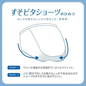 ワコール すそピタショーツ ノーマル ML 綿...の詳細画像1