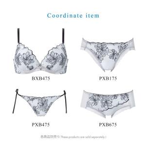 ワコール 夏めくブラ ショーツ ML ローライ...の詳細画像5