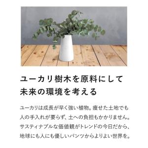 ボクサーパンツ グレイブボールトGraveva...の詳細画像4
