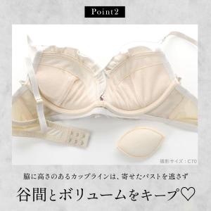 ブラジャー ショーツセット ラブジェリー フラ...の詳細画像5