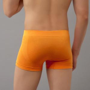 グンゼ BODY WILD 3D-Boxer ...の詳細画像4