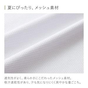 グンゼ GUNZE キレイラボ KIREILA...の詳細画像5