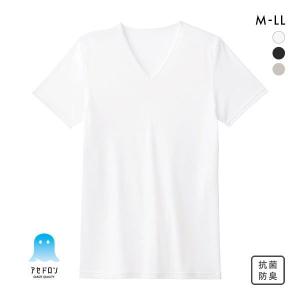 グンゼ GUNZE アセドロン Vネック Tシャツ 鹿の子 半袖 インナー メンズ 父の日｜SHIROHATO(白鳩)