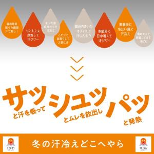 グンゼ FIREアセドロン 長袖 タートルネッ...の詳細画像3