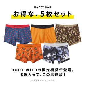 グンゼ BODY WILD ボクサーパンツ お...の詳細画像2