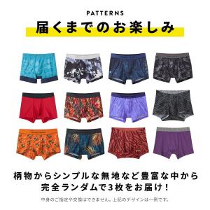 グンゼ BODY WILD ボクサーパンツ お...の詳細画像3