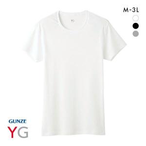 グンゼ GUNZE ワイジー YG コットン100％ クルーネック Tシャツ メンズ 定番 ベーシック オールシーズン｜shirohato